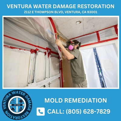 mold remediations