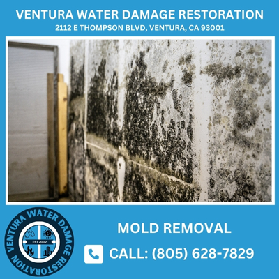 mold removal